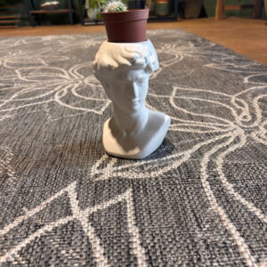 David Bust Planter