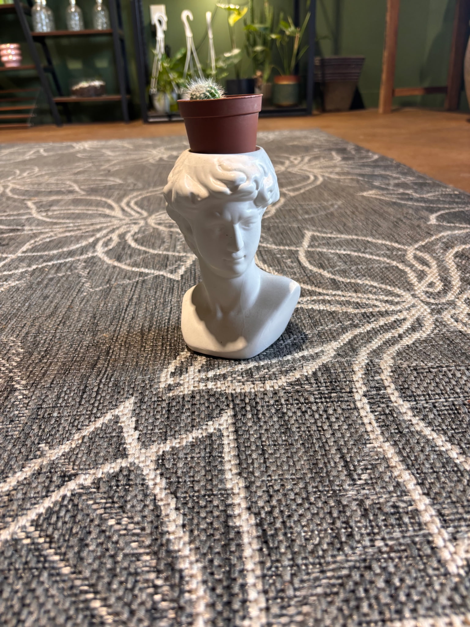 David Bust Planter