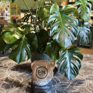 SOL SOILS Chunky Perlite
