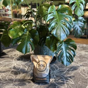 SOL SOILS LECA Balls